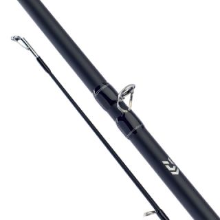 Daiwa Bait Casting Combo 8ft 20-60g - 